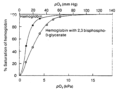 Hemoglobin & Myoglobin: 4. Dissociation Curves - Biochemistry Flashcards