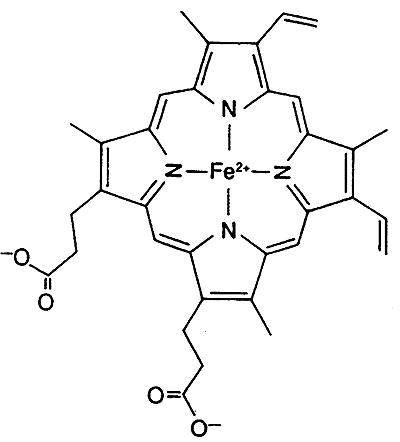 oxygen heme bound to hemoglobin