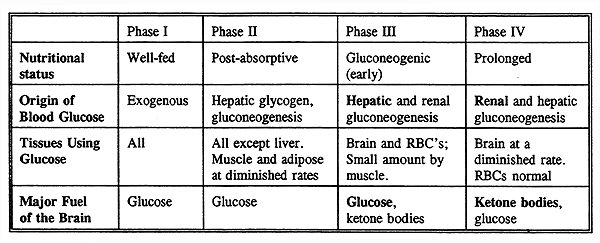 Glucose Homeostasis And Starvation