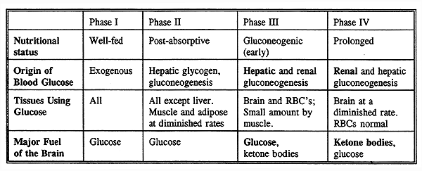 Homeostasis Explained